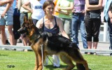 29. Mai 2011, Universalmeisterschaft Ukraine, 1. Pl., Baby Klasse, Richter SV, R. Brauch